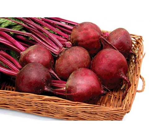 BEETROOT - INDAM RUBY QUEEN