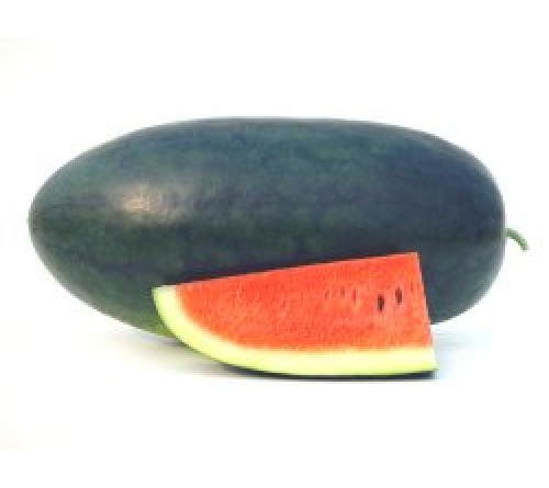 WATERMELON F1 - HYBRID – INDAM ARJUN