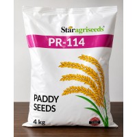 Star Agriseeds PR-114 Paddy Seeds 4kg | High Yield Paddy Variety for Better Crop Growth 