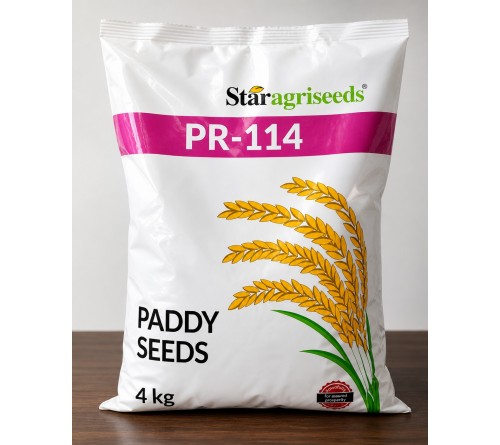 Star Agriseeds PR-114 Paddy Seeds 4kg | High Yield Paddy Variety for Better Crop Growth 