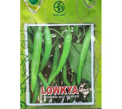 F1 Hybrid Hot Pepper -LOWKYA
